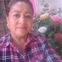 Josefina 