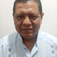 Nereo
